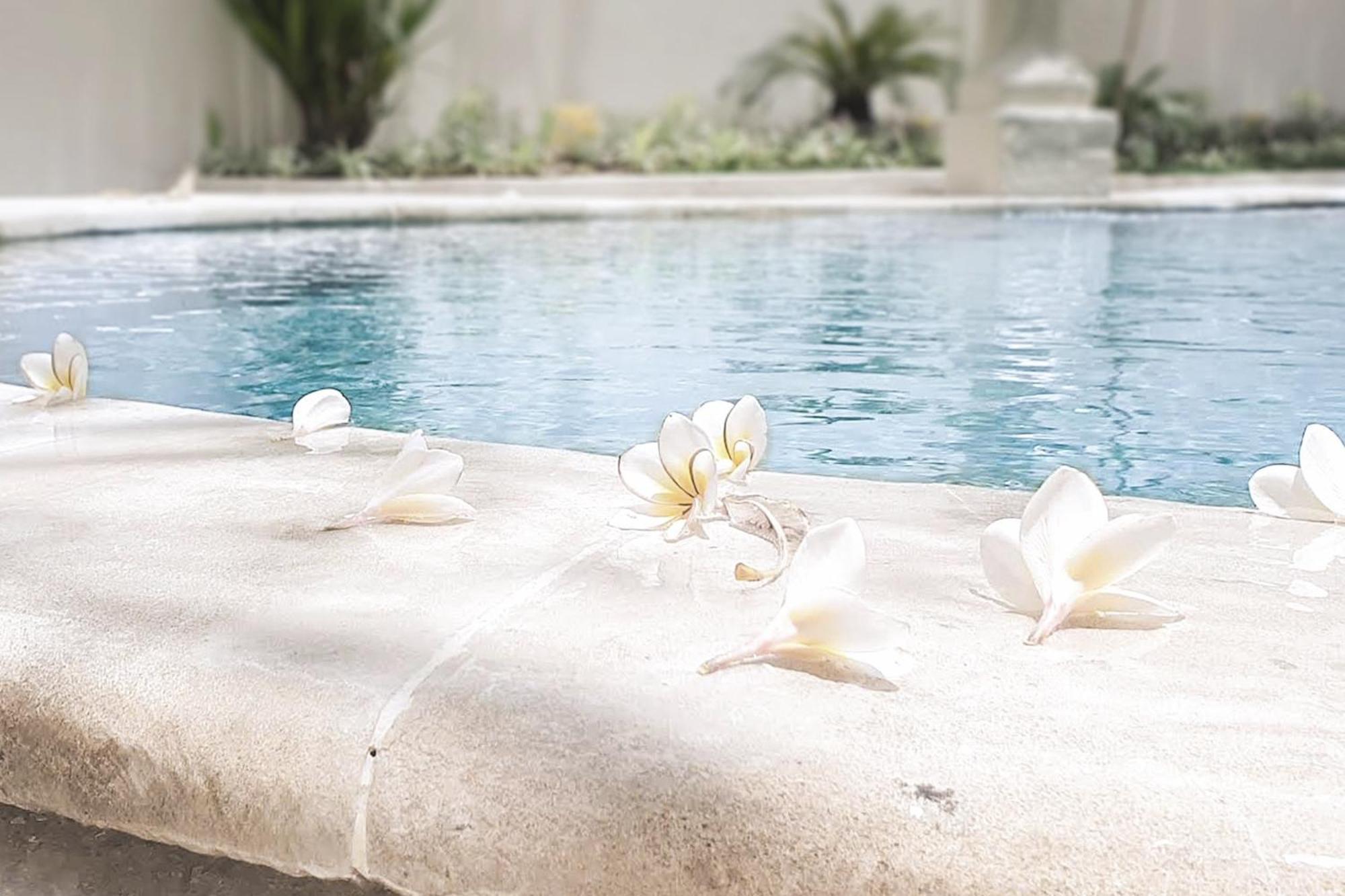 Villa Malicott Athena Private Pool In Kuta Seminyak (Bali)